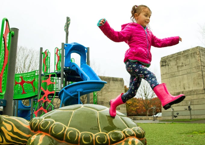 PowerScape playground turtle-themed play structure